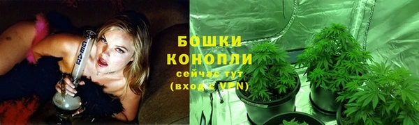 2c-b Верхний Тагил