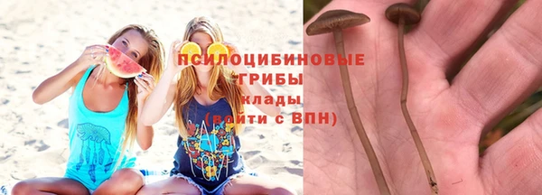 стаф Верхнеуральск