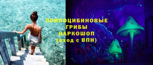 прущая мука Верея